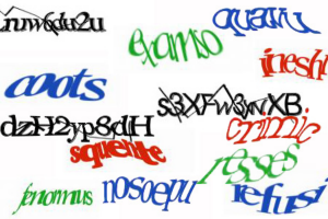 captcha2