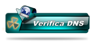 Verifica DNS